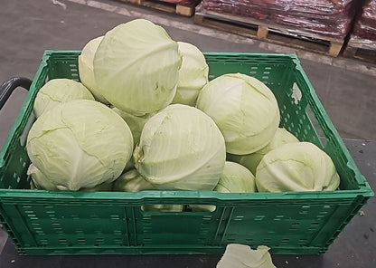 Капуста белокочанная свежая (оптом)