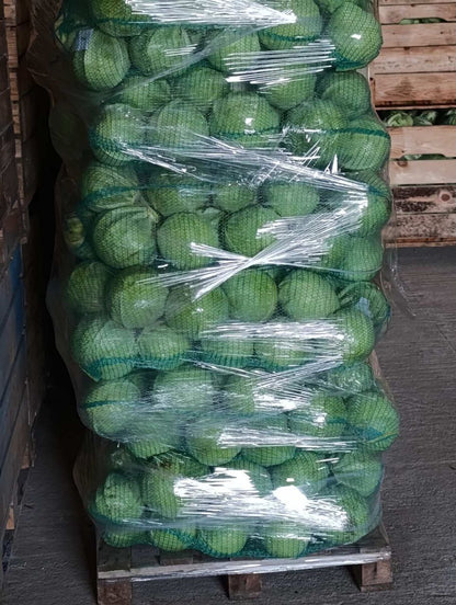 Капуста белокочанная свежая (оптом)