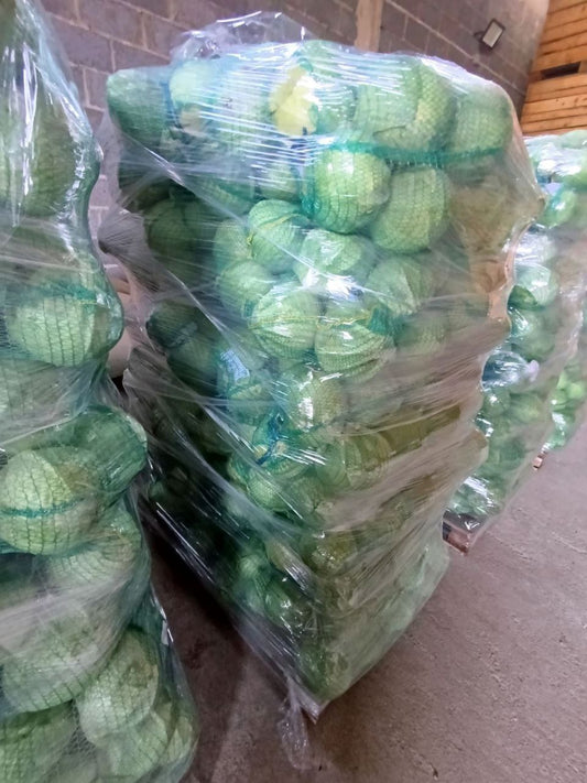 Капуста белокочанная свежая (оптом)