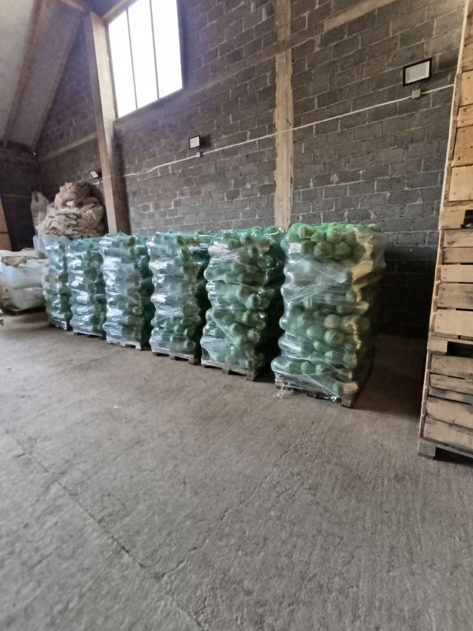 Капуста белокочанная свежая (оптом)